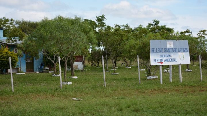 08.01.2019 Caballos serán alojados en el vertedero muncipal de Artigas.